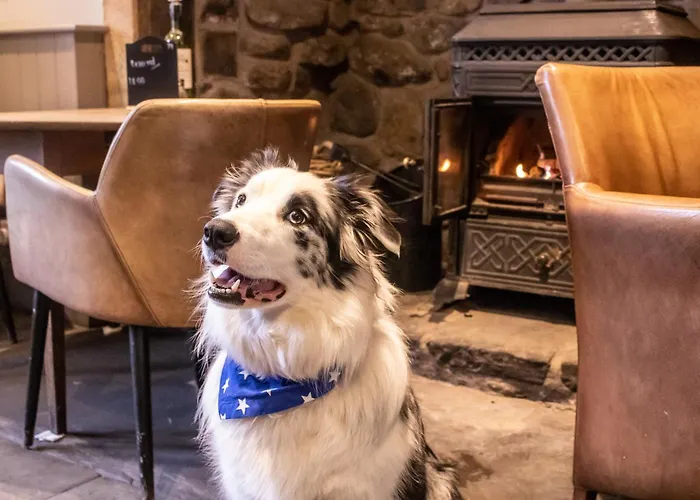 The Waddington Arms