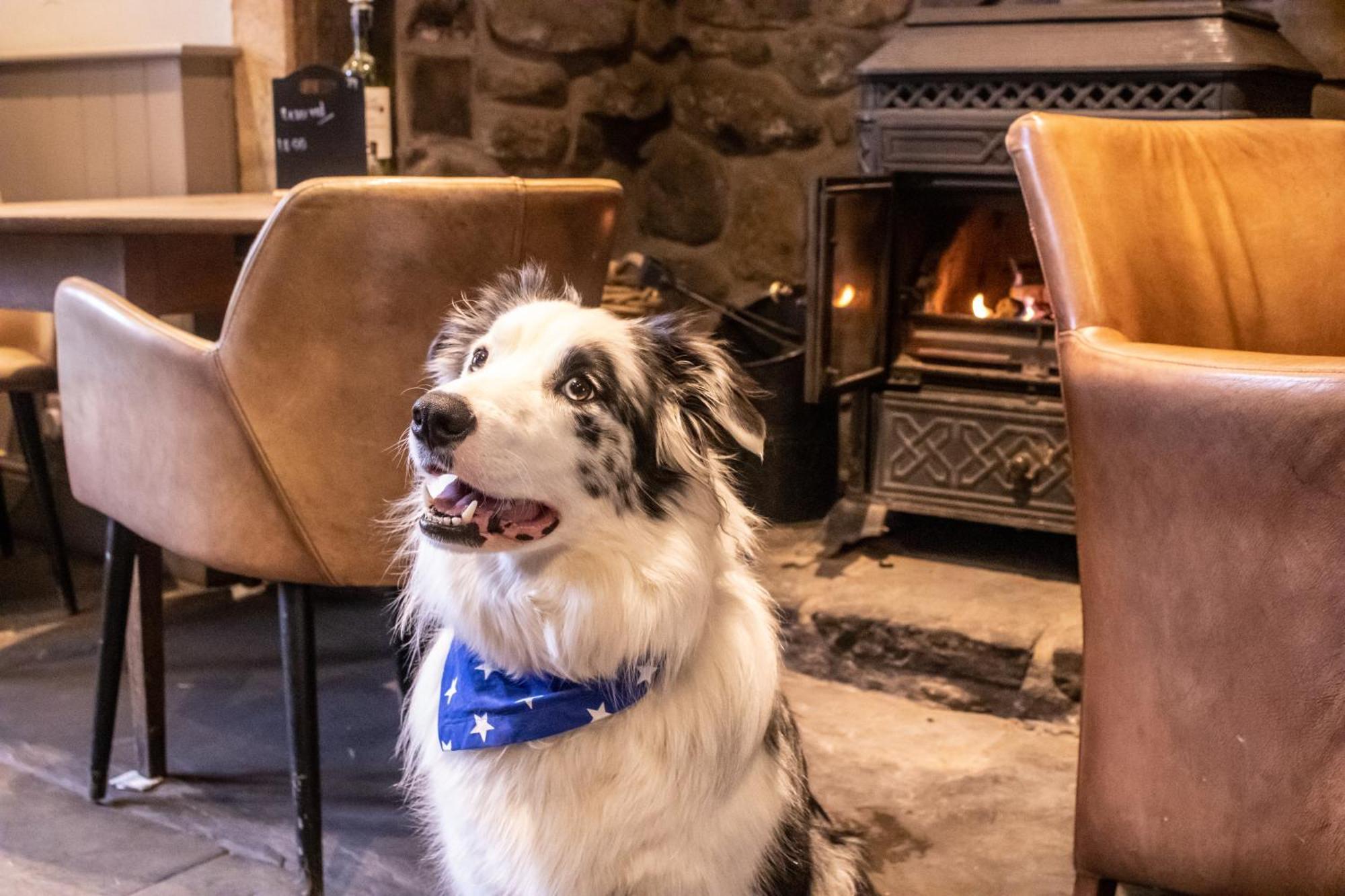 Hotel The Waddington Arms Waddington (Lancashire)